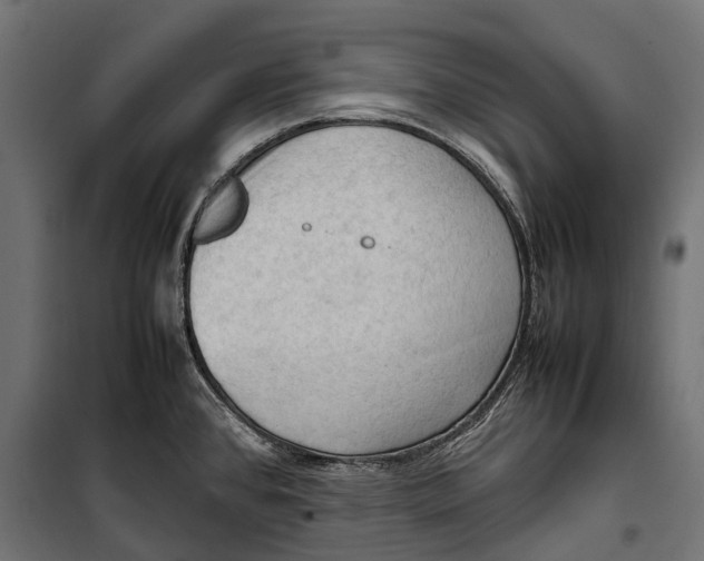 X0000099981384200806201415