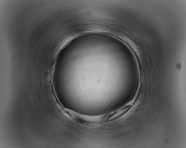 X0000099981385200806201415