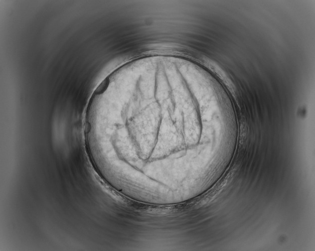 X0000099981386200806201415