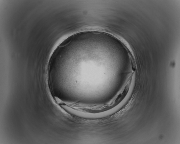 X0000099981389200806201415