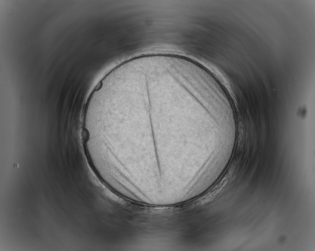 X0000099981390200806201415