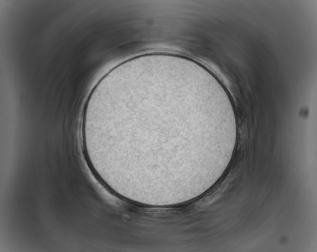 X0000099981391200806201415