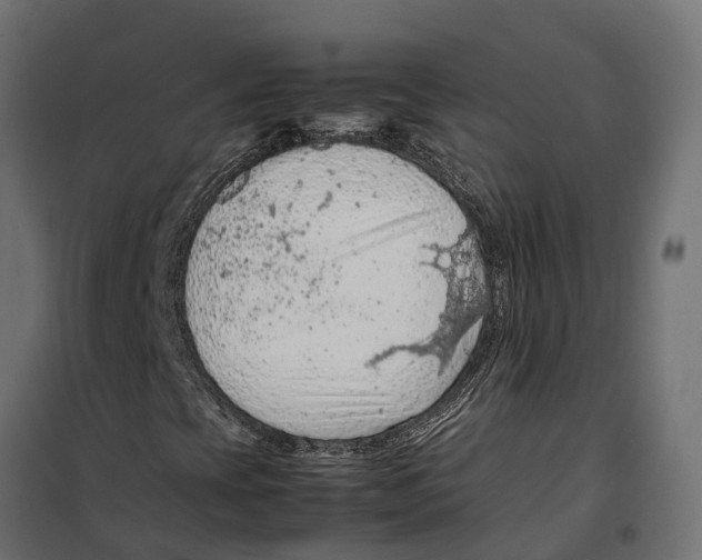 X0000099981393200806201414