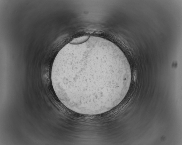 X0000099981396200806201414