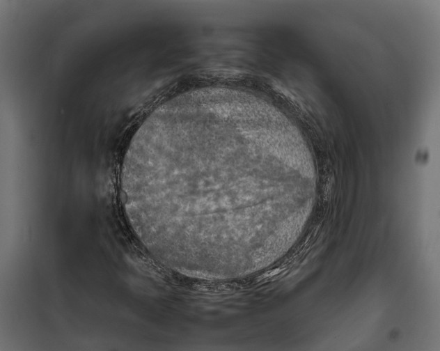 X0000099981397200806201415