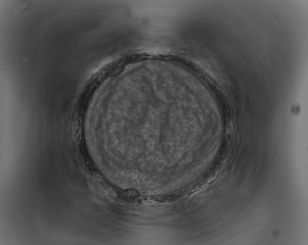 X0000099981398200806201415