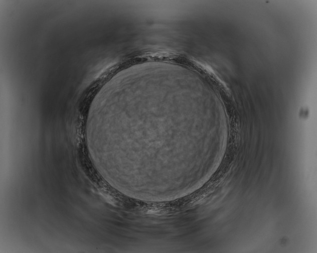 X0000099981399200806201415