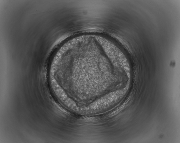 X0000099981402200806201415