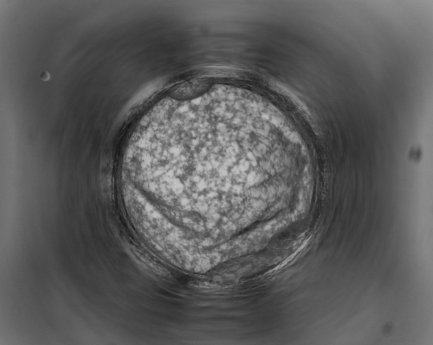 X0000099981403200806201415