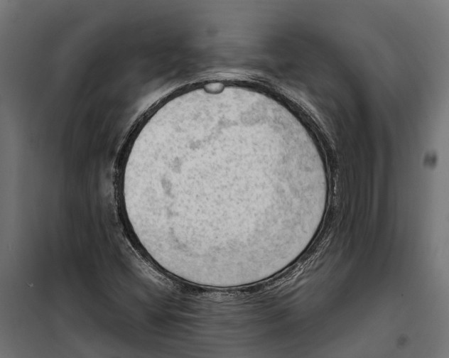 X0000099981404200806201415