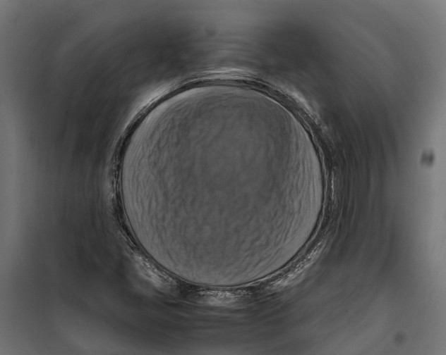 X0000099981405200806201415