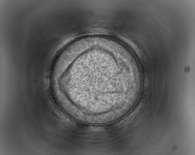 X0000099981407200806201415