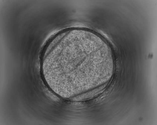 X0000099981408200806201415