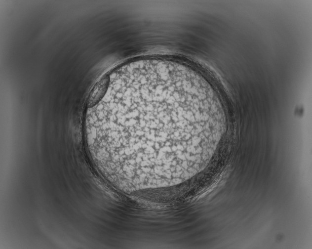 X0000099981409200806201415