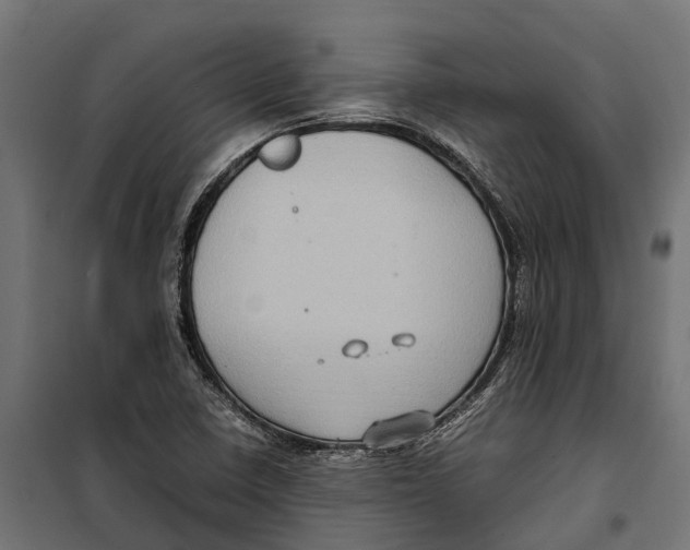 X0000099981410200806201415