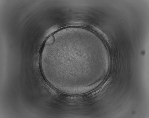 X0000099981411200806201415