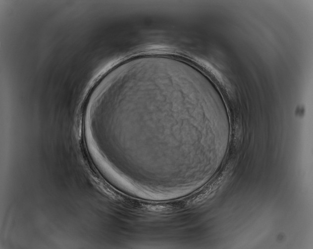 X0000099981413200806201415