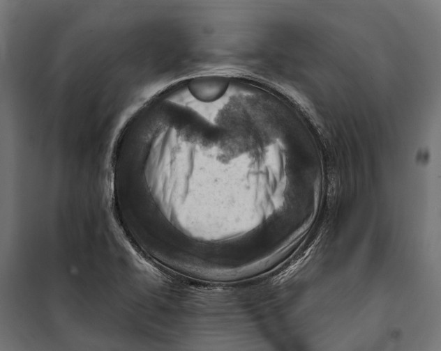 X0000099981414200806201415