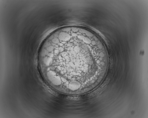 X0000099981415200806201415