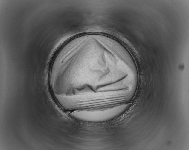 X0000099981416200806201415