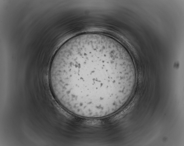 X0000099981417200806201415