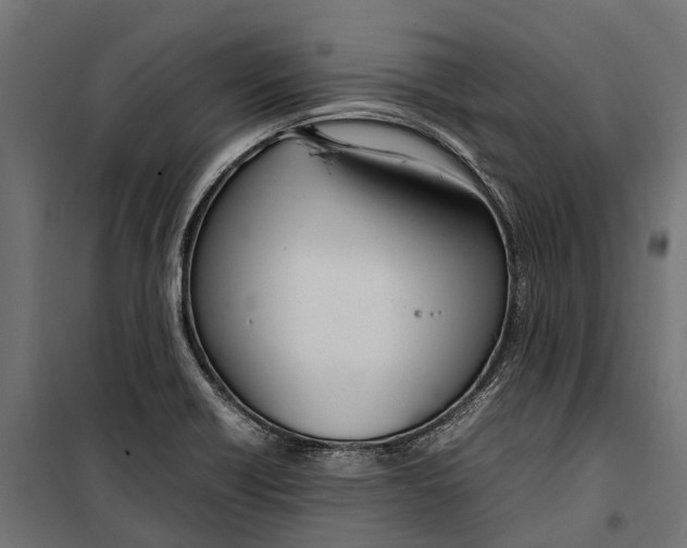 X0000099981418200806201415