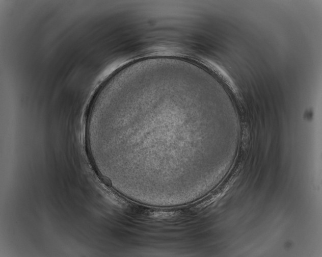 X0000099981419200806201415