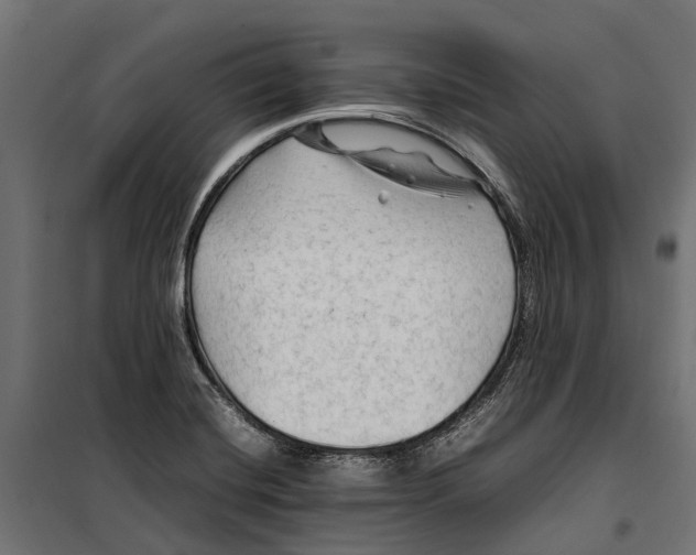 X0000099981420200806201415