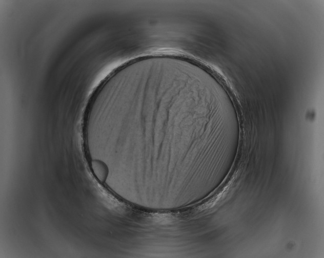 X0000099981422200806201415