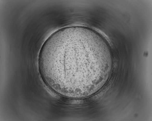 X0000099981423200806201415