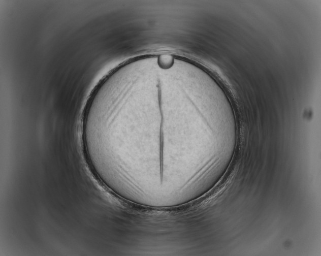 X0000099981424200806201415