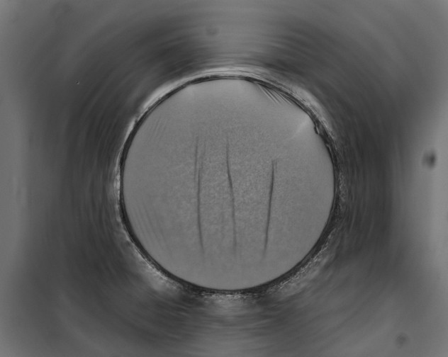 X0000099981428200806201415