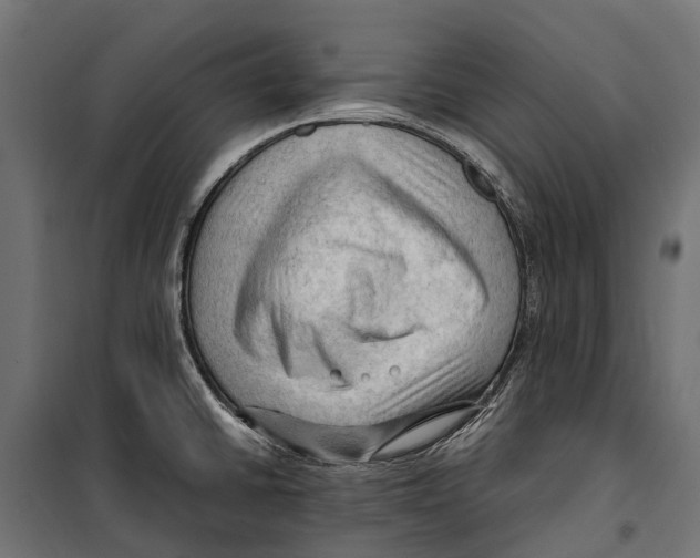 X0000099981430200806201415