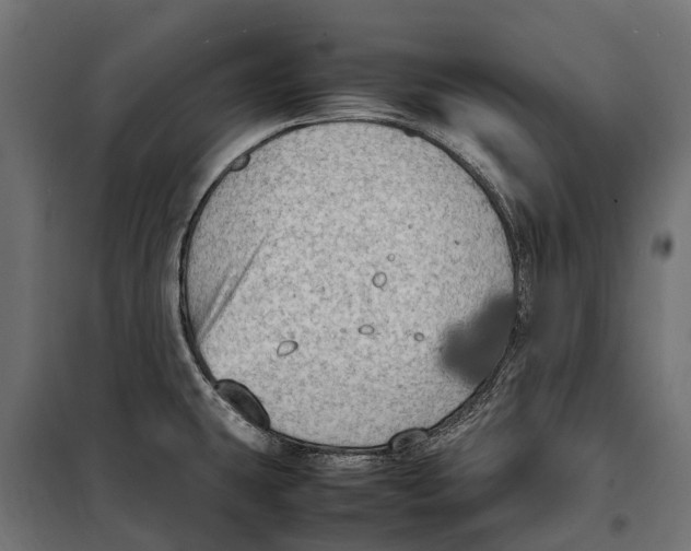 X0000099981431200806201415