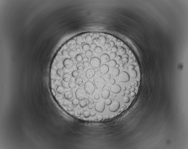 X0000099981432200806201415