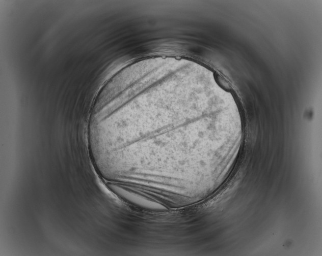 X0000099981433200806201415