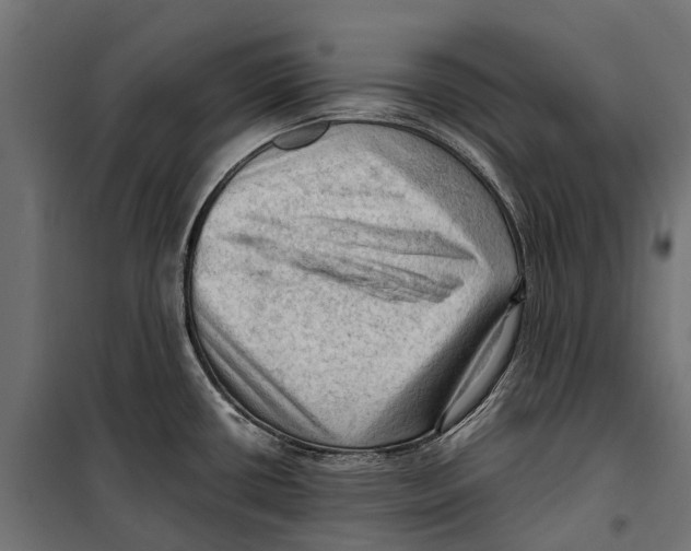 X0000099981434200806201415