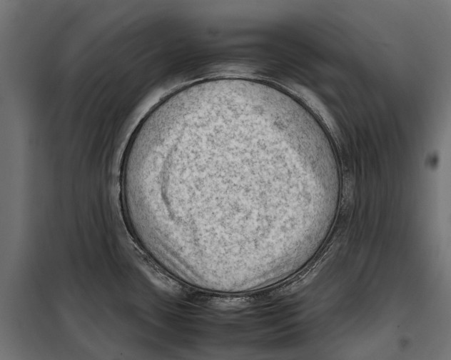 X0000099981435200806201415