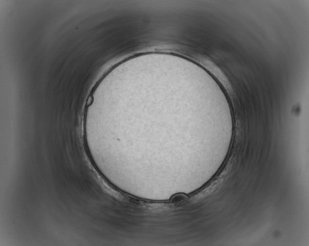 X0000099981436200806201415