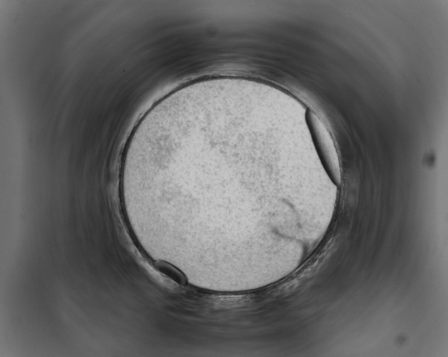 X0000099981437200806201415