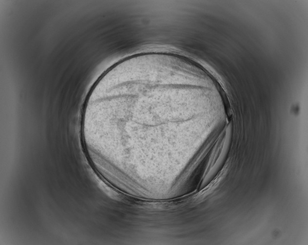 X0000099981438200806201415