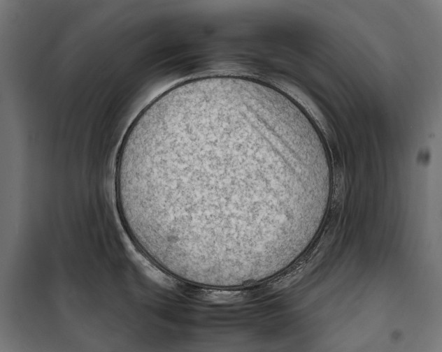 X0000099981439200806201415