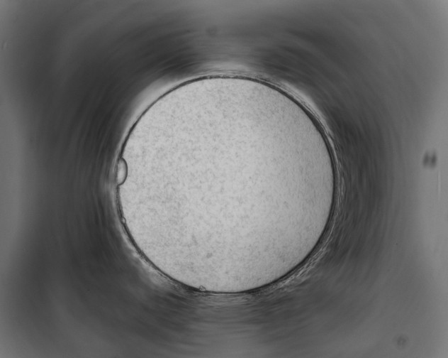 X0000099981440200806201415