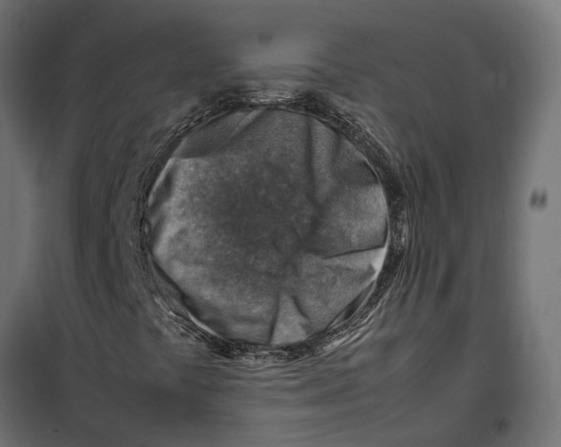 X0000099981441200806201414