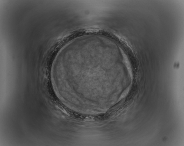 X0000099981445200806201414