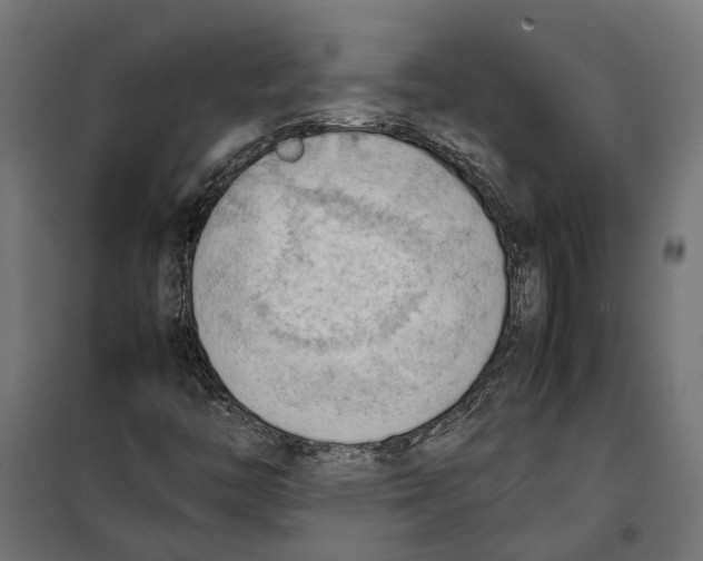 X0000099981446200806201414