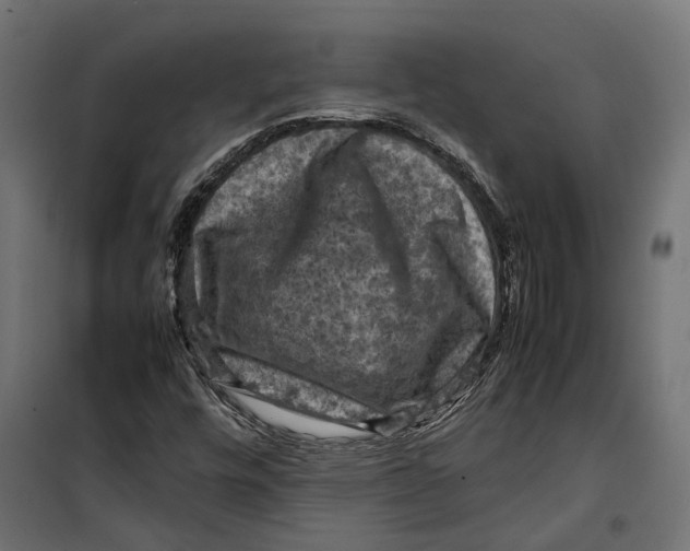 X0000099981448200806201414