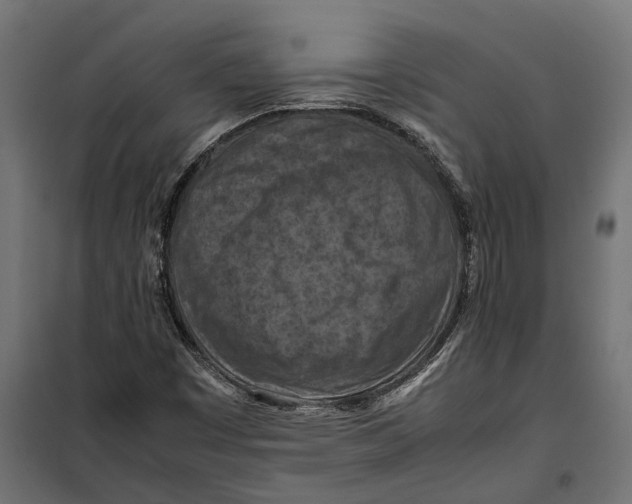 X0000099981449200806201414