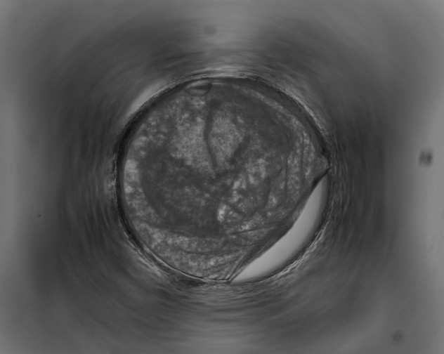 X0000099981450200806201414