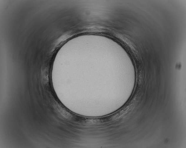 X0000099981451200806201414